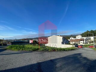 -291224497_a43793ce-c839-407b-b11b-6fb87eee84da.jpg