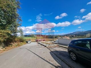 -291225228_d0ac7f24-a248-4c07-9786-0ae3155febf3.jpg