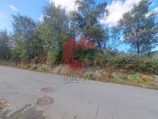 -291225228_fe5d6eab-00ca-4f07-8a37-5127e463a1bb.jpg