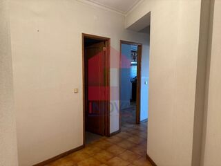 -291226107_ac1bab5d-729b-4048-850b-1152cdc5f43d.jpg