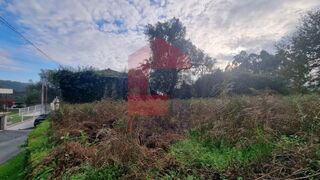 -291226308_c347f312-81e8-4927-8200-81fc81e3e12b.jpg
