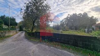 -291226319_e89a61e8-60a2-4c9a-b7b3-1d1e3a314b72.jpg