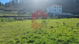 -291227960_48ccc61f-d954-40b4-986d-b22c7f1023c7.jpg