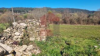 -291227960_74b50f9a-9cc1-4f64-bc57-6f8920869003.jpg
