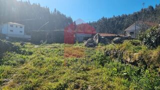 -291227960_77cfccfe-9260-4471-b954-84eec5cf0cb0.jpg