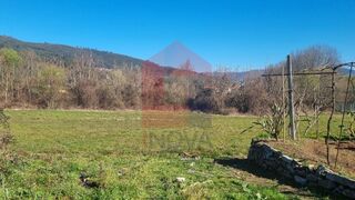-291227960_e74ed2cf-5b2a-41bd-a82c-126adf185673.jpg