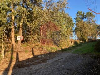 -291228068_7a5bd4ba-8723-47b5-aedc-00fee30010f8.jpg