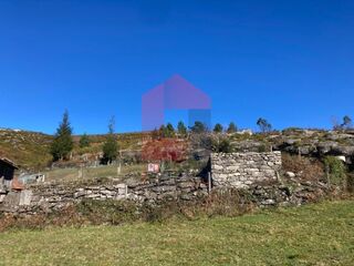 -291228073_42ff78ca-4f22-43b2-9b03-547240e30421.jpg