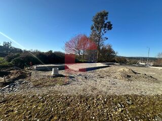 -291228180_551f3d53-98e8-43f6-bef6-e628f6e0f4c5.jpg