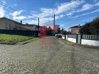 -291229386_cc4d1b34-0d37-4421-99ba-5d7991459734.jpg
