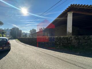 -291229721_5882d679-b1dc-4e9e-b7f8-e84268482bbd.jpg