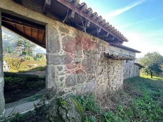 -291229721_ca43baaf-02da-46ce-81ce-7dd4f6ba5228.jpg