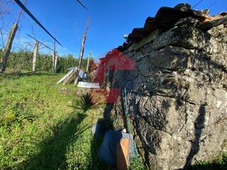 -291230283_22342265-d3a8-4524-a915-e0b9bb1519d1.jpg