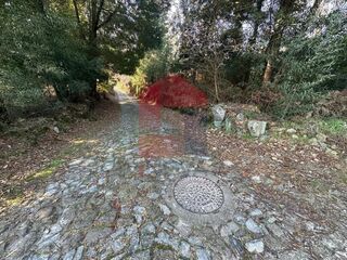 -291231487_cc9c449e-1336-4911-ba6d-ba5a72ab2b63.jpg