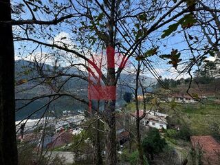 -291234840_242642dc-04d7-4aaa-8386-d272fde757a6.jpg