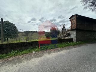 -291234989_e5383605-3ed3-4fd6-b712-64df7dbdd211.jpg