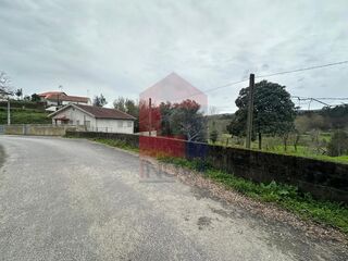 -291235068_575c0f55-b2ac-4c7a-a8d2-cdc6953701e0.jpg