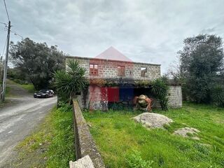 -291235069_5d895866-edf5-4bc3-84a6-e8ff06be7af4.jpg