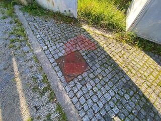 -291235737_5b0bac19-b26d-494e-8fce-7f0d1a892066.jpg