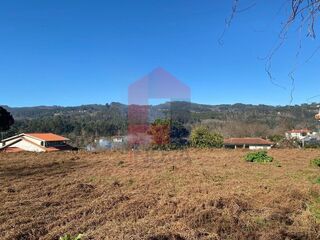 -291235737_995042ef-d291-47ca-96a9-b384e78cb475.jpg