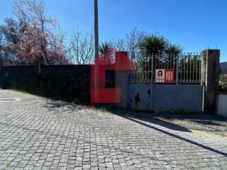 -291235737_d52fdb51-e394-44ca-bcba-e571bde00e0a.jpg