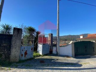 -291235737_d92deb5b-36af-49a9-a0cd-b596e7d750bd.jpg