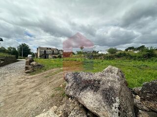 -291235749_ae8cf06d-5116-41b5-a0b0-0ddc9a1b4197.jpg