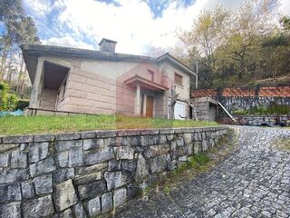 -291236887_048c3f4b-29a1-404d-ab40-66f61dd6460a.jpg