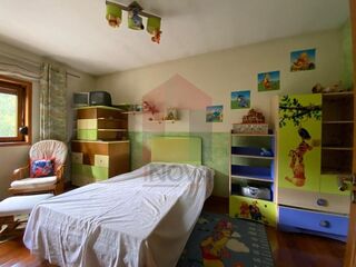 -291236887_9de7eb03-80ad-4a18-9d39-6667552b4e6b.jpg