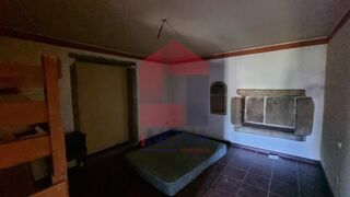 -291238537_b3acdf61-5a26-4fb2-a413-41d18121b037.jpg