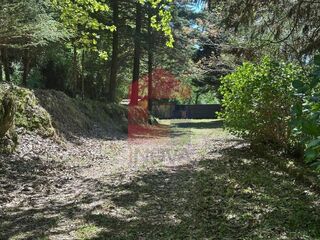 -291239270_18c1f443-40b6-42e9-8e04-bc1fe49def69.jpg