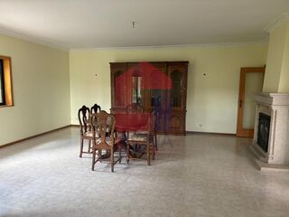 -291240664_3738daeb-6629-40a9-a866-b0d22d059e00.jpg