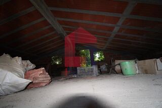-291241900_d21fded9-571a-423d-8ac4-fc9d934e6619.jpg