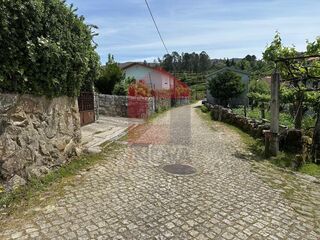 -291243045_2d636c2b-3558-42fe-bdab-465b42d72b62.jpg