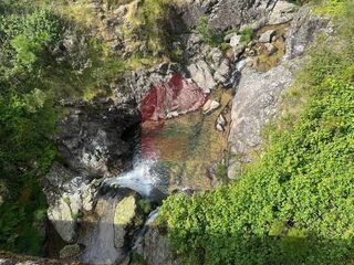 -291243045_c8c84665-e046-4e6d-9a26-7a1d9713e840.jpg