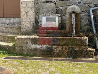 -291243045_fcd4affe-7781-40a8-9f00-43a8e8b37b30.jpg