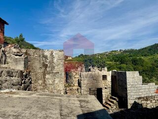 -291243812_0d0e46ca-d368-4d0a-bb50-1c1e7bf1e289.jpg