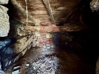 -291243812_e717d3e1-784f-4392-8409-0fc1c76f6b62.jpg