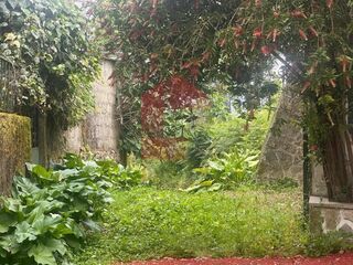 -291243934_a94c2f13-a087-4bc2-a208-f1faee8a03e7.jpg