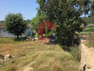 -291244799_1432182e-e0e6-4b25-95f9-30eea7bed780.jpg