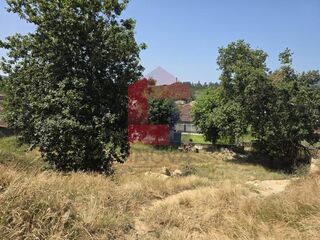 -291244799_77bbcea9-85f6-4b1d-8266-87064ab978d0.jpg
