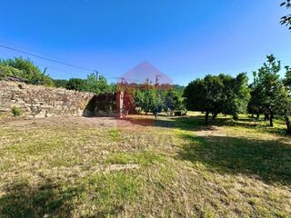 -291248496_0faf97a6-0843-4289-913e-b1499cf05dc1.jpg