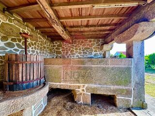 -291248496_f1c64c8d-f4d1-4cf4-a176-f00f2de0ec59.jpg