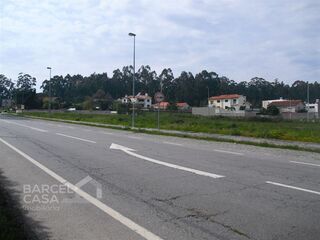 -197703348_ID549e6900-0000-0500-0000-000004a2a4a8.JPG