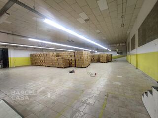 -212982219_IDb1919a01-0000-0500-0000-00001588fa3a.jpg