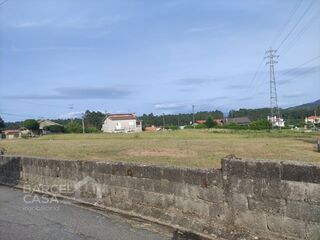 -213144210_IDd4909d01-0000-0500-0000-000015c128fb.jpg