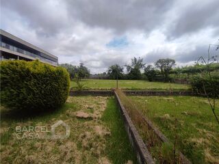 -213145176_ID00209d01-0000-0500-0000-000015c1b2b5.jpg