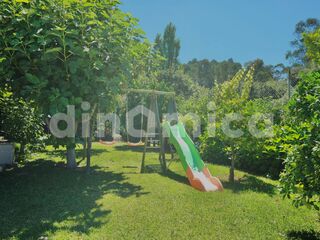 -212964234_IDfe9a9a01-0000-0500-0000-0000157f828b.jpg