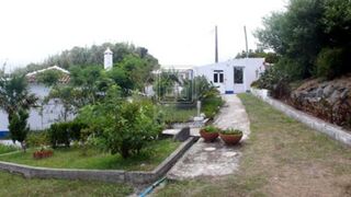 Jardim