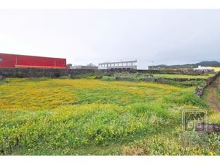 Terreno - Local